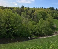 Berkshire