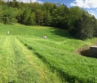 Berkshire